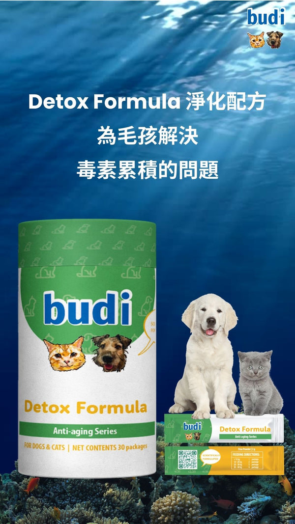 淨化配方解決寵物生物累積的介紹