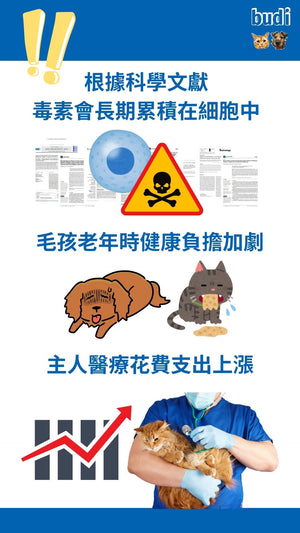 毒素累積造成健康的問題