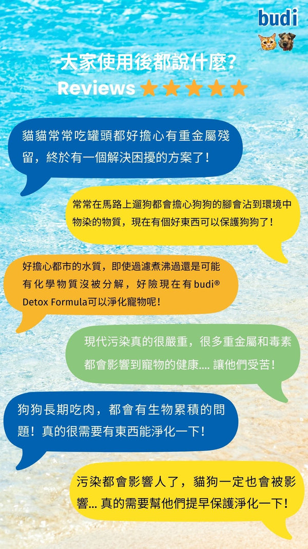 淨化配方使用後相關的意見